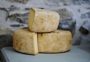 cheese